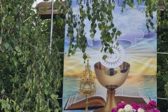 IMG-20250619-WA0030