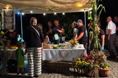 WhatsApp-Image-2026-08-17-at-19.04.20-9