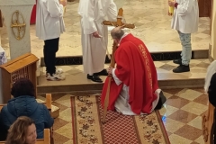 WhatsApp-Image-2026-04-03-at-19.50.03-5