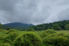 IMG-20230625-WA0033